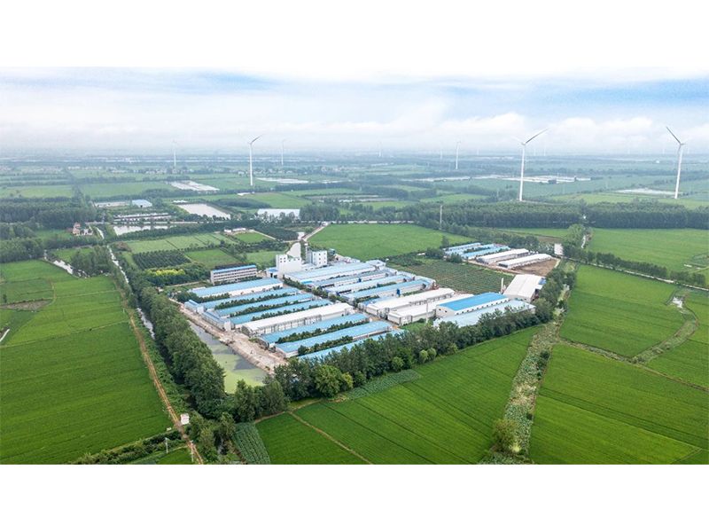 2023年中央一號文件出爐，畜禽產(chǎn)業(yè)應(yīng)抓住哪些新機遇？