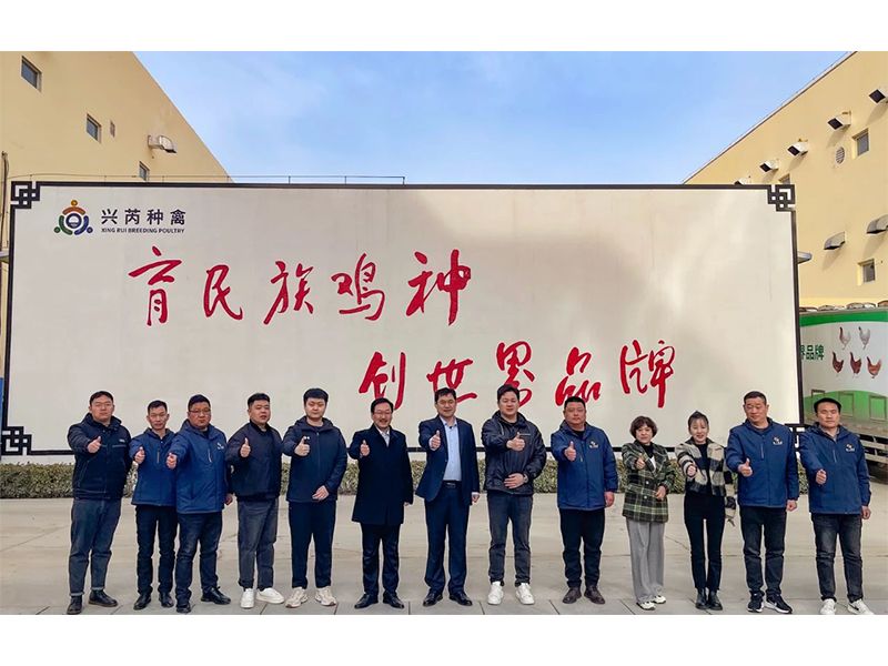 參觀學(xué)習(xí)促進(jìn)步 交流合作贏發(fā)展︱卓一牧業(yè)赴興芮種禽、峪口禽業(yè)與瑞普生物參觀訪學(xué)