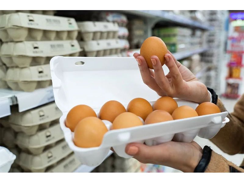 什么是快樂農(nóng)場？我們?nèi)绾尾拍軐崿F(xiàn)它