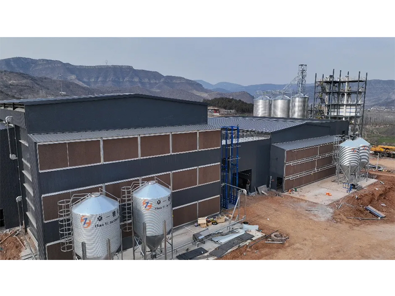 夏季養(yǎng)雞僅關(guān)注溫度環(huán)境？飼料安全須高度重視！