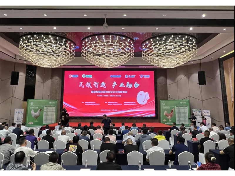 熱烈祝賀湖南規(guī)?；半u企業(yè)CEO高峰論壇取得圓滿成功！