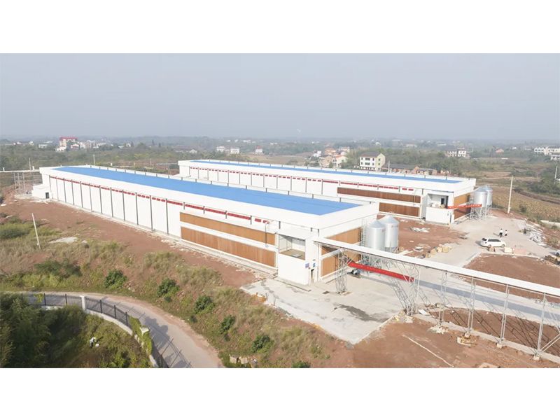 熱烈祝賀西南地區(qū)300萬羽蛋雞養(yǎng)殖基地驗收成功，上雞大吉！