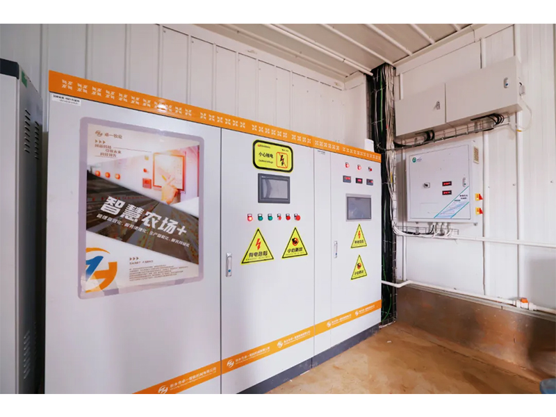 環(huán)境多變，春季養(yǎng)雞如何通風(fēng)？