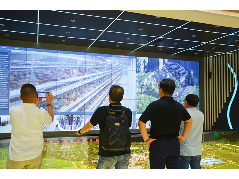 國(guó)際交流 | 印尼考察團(tuán)遠(yuǎn)赴我司參觀(guān)考察