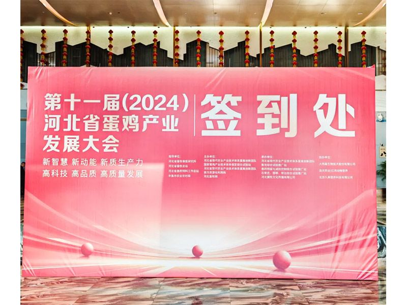 卓一牧業(yè)應邀出席第十一屆(2024)河北省蛋雞產(chǎn)業(yè)發(fā)展大會！