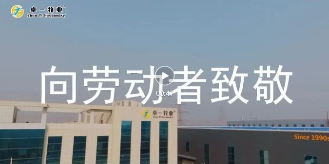 五一勞動節(jié) | 致敬每一個努力奮斗的卓一人